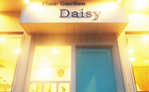ܾ븩ԡHair Garden Daisy